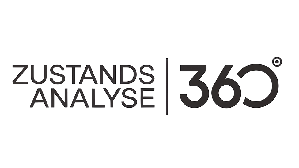 Zustandsanalyse360